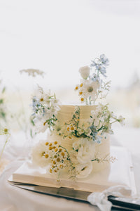 Double layer party cake