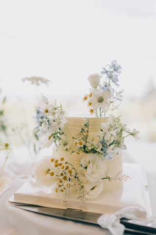 Double layer party cake